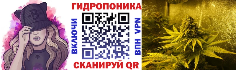 Купить наркотики Кувандык A PVP  КОКАИН  Экстази  МЕФ  АМФЕТАМИН  Канабис  ГАШИШ 