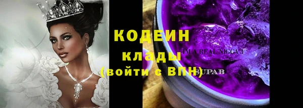 молекула духа Белоозёрский