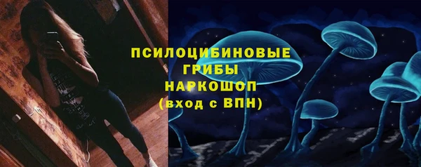 стафф Белокуриха