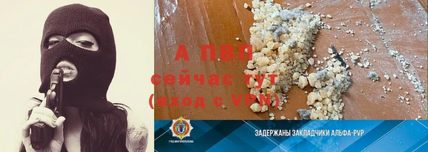 молекула духа Белоозёрский
