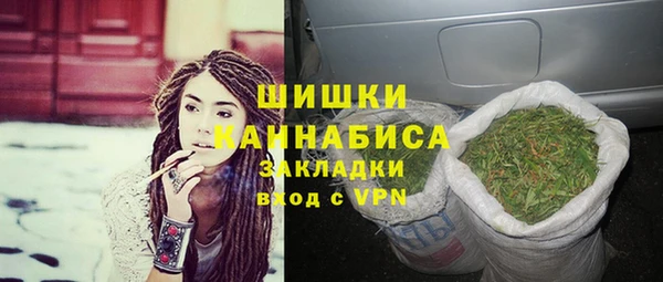 молекула духа Белоозёрский
