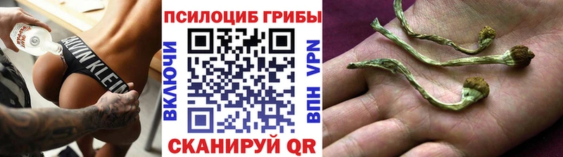 Псилоцибиновые грибы мицелий  Кувандык 